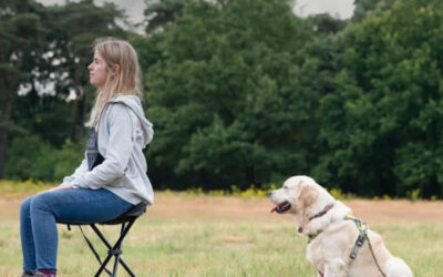 Review Valerie, Bjorn en Vinz de Golden Retriever